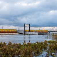 Wedel - Willkommhöft: Fähranleger